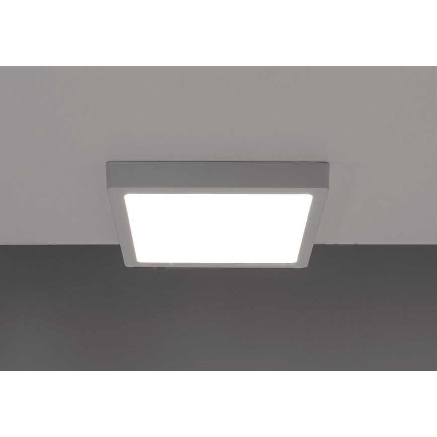 LED-kattovalaisin GERRY LED/6W/230V 3000K