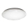 LED-kattovalaisin IRIDIO 1xLED/24W/230V