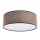 LED Kattovalaisin JOSEFINA LED/18W/230V
