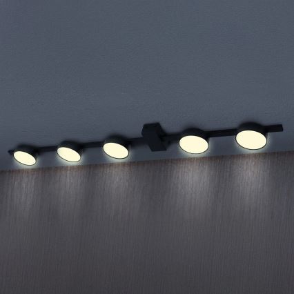 LED-kattovalaisin JOY 5xGX53/6W/230V musta