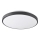 LED-kattovalaisin KERN LED/24W/230V musta