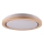 LED-kattovalaisin kylpyhuoneeseen DAREK LED/24W/230V halkaisija 39 cm IP44 tammi