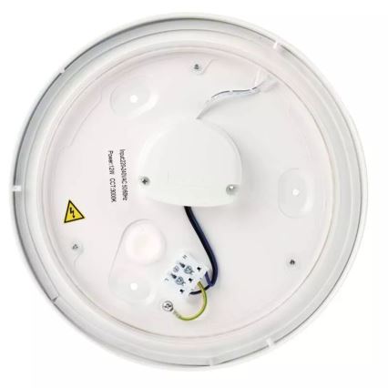 LED-kattovalaisin kylpyhuoneeseen LED/12W/230V IP44