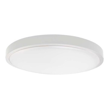 LED-kattovalaisin kylpyhuoneeseen LED/24W/230V 3000K IP44 valkoinen
