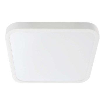 LED-kattovalaisin kylpyhuoneeseen LED/24W/230V 4000K IP44 valkoinen