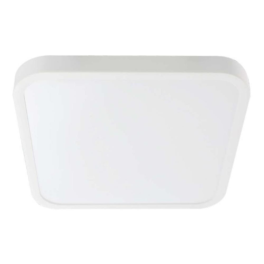 LED-kattovalaisin kylpyhuoneeseen LED/24W/230V 4000K IP44 valkoinen
