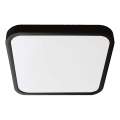 LED-kattovalaisin kylpyhuoneeseen LED/24W/230V 6500K IP44 musta