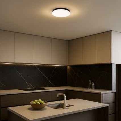 LED-kattovalaisin kylpyhuoneeseen MAYA LED/15W/230V halkaisija 33 cm IP44 musta