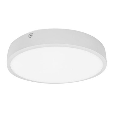 LED-kattovalaisin kylpyhuoneessa EGON LED/30W/230V IP44 3000K