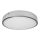 LED-kattovalaisin kylpyhuoneessa EGON LED/30W/230V IP44 4000K