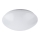 LED-kattovalaisin kylpyhuoneessa LED/12W/230V IP44