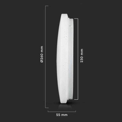 LED Kattovalaisin LED/12W/230V 26cm 3000K/4000K/6400K