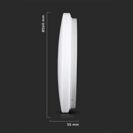 LED Kattovalaisin LED/12W/230V 26cm 3000K/4000K/6400K