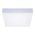 LED-kattovalaisin LED/12W/230V 3000/4000/6000K 17x17 cm valkoinen