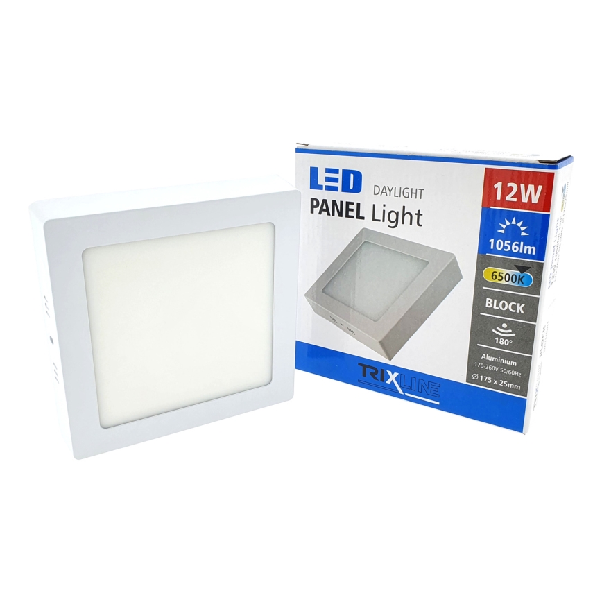 LED-kattovalaisin LED/12W/230V 6500K