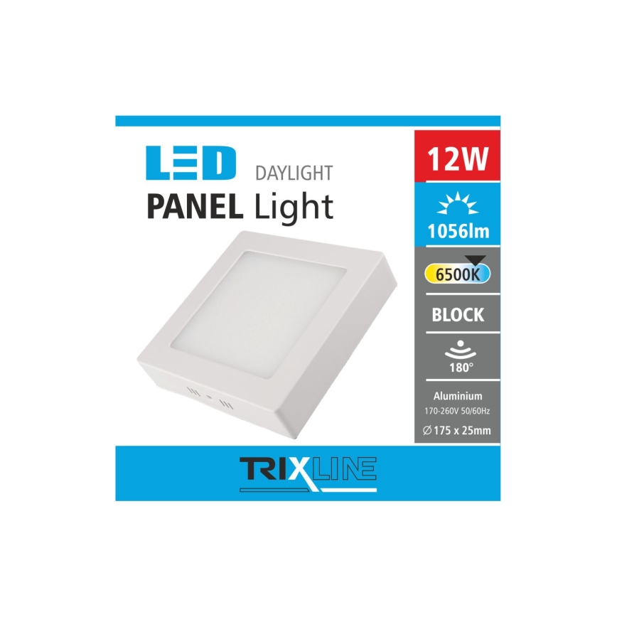 LED-kattovalaisin LED/12W/230V 6500K