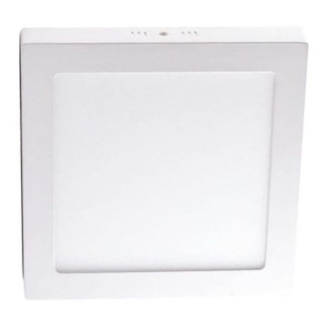 LED-kattovalaisin LED/18W/230V 4000K 22,5x22,5 cm