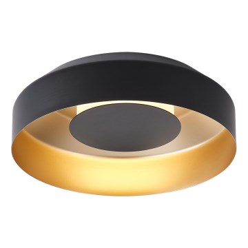 LED-kattovalaisin LED/20W/230V 3000K musta
