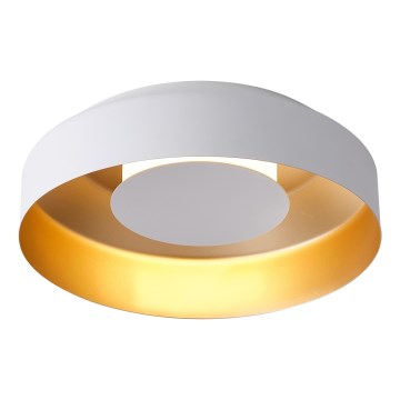 LED-kattovalaisin LED/20W/230V 3000K valkoinen