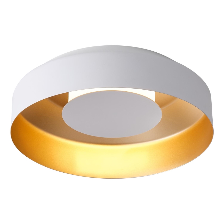 LED-kattovalaisin LED/20W/230V 3000K valkoinen