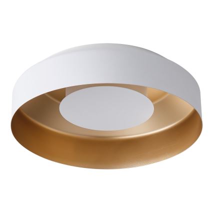 LED-kattovalaisin LED/20W/230V 3000K valkoinen