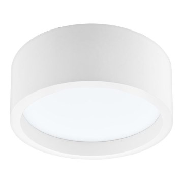 LED-kattovalaisin LED/21W/230V mänty