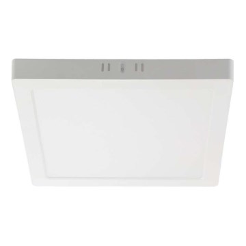 LED-kattovalaisin LED/24W/230V 3000K 28,7x28,7 cm valkoinen