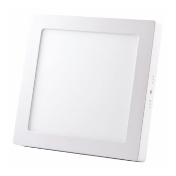 LED-kattovalaisin LED/24W/230V 4000K