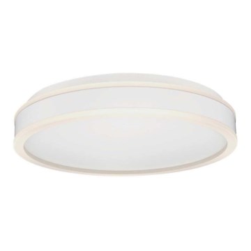 LED-kattovalaisin LED/24W/230V 4000K valkoinen