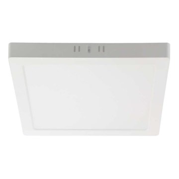 LED-kattovalaisin LED/24W/230V 6500K 28,7x28,7 cm valkoinen