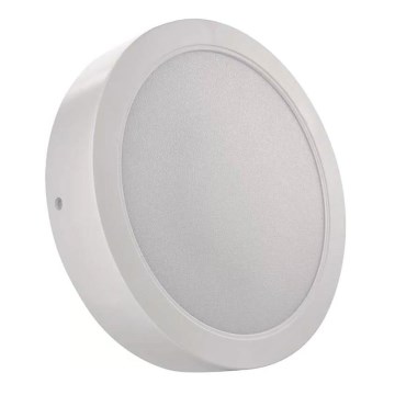 LED-kattovalaisin LED/24W/230V halkaisija 22 cm valkoinen