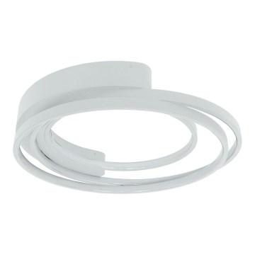LED-kattovalaisin LED/30W/230V 3000/4000/6000K valkoinen
