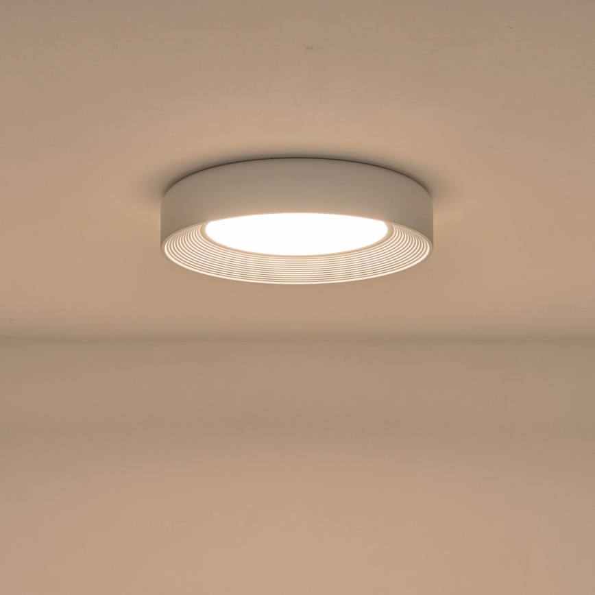 LED-kattovalaisin LED/40W/230V 3000K valkoinen halkaisija 50 cm