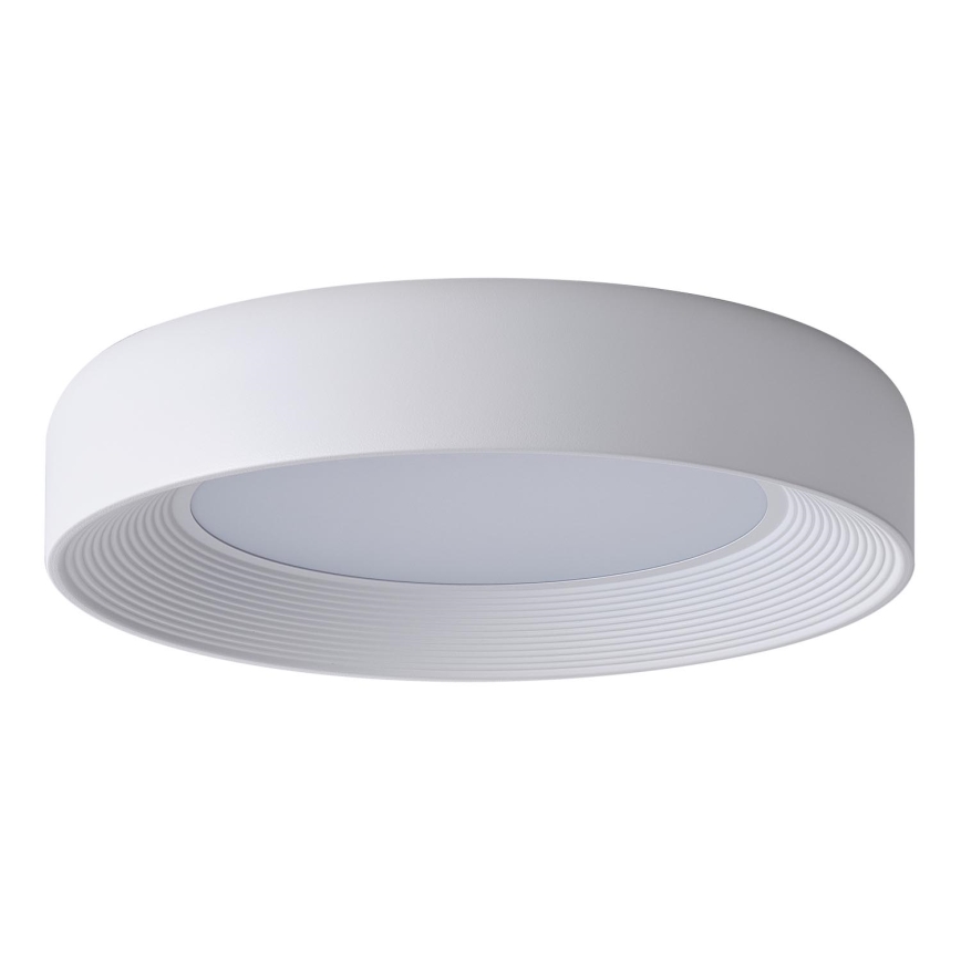 LED-kattovalaisin LED/40W/230V 3000K valkoinen halkaisija 50 cm