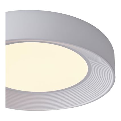 LED-kattovalaisin LED/40W/230V 3000K valkoinen halkaisija 50 cm
