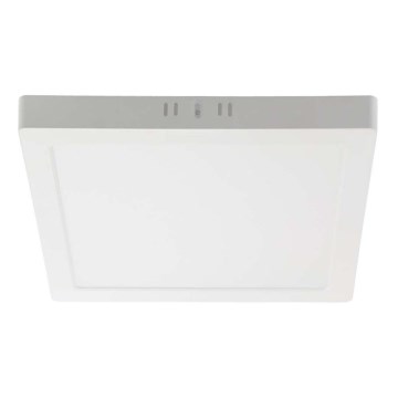 LED-kattovalaisin LED/6W/230V 4000K 12x12 cm valkoinen