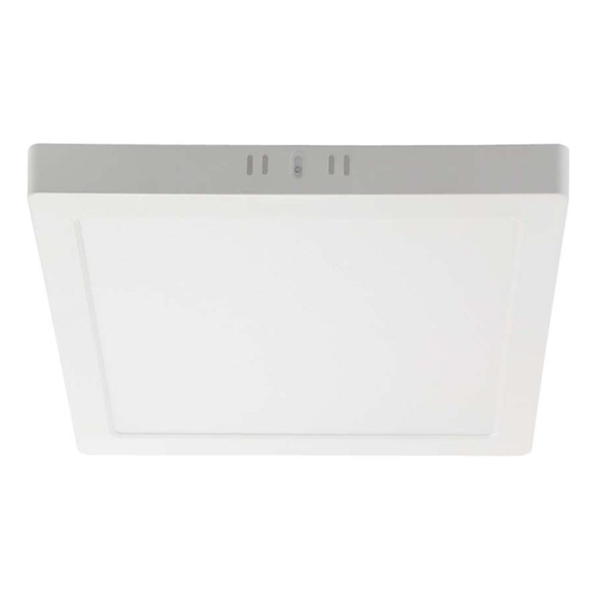 LED-kattovalaisin LED/6W/230V 4000K 12x12 cm valkoinen