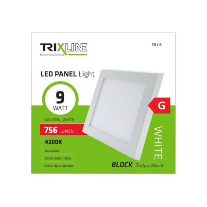 LED-kattovalaisin LED/9W/230V 4200K
