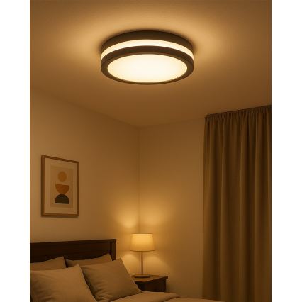 LED-kattovalaisin kylpyhuoneeseen liiketunnistimella LED/20W/230V 3000/4000/6500K Ø 23 cm IP54 antrasiitti