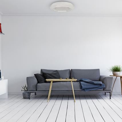 LED-kattovalaisin LULU LED/40W/230V