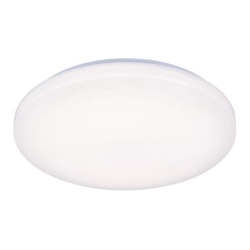 LED-kattovalaisin OPAL LED/50W/176-264V
