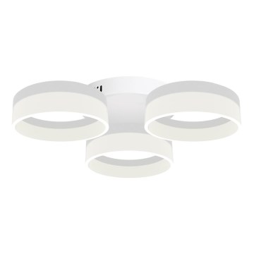 LED-kattovalaisin RING 3xLED/12W/230V valkoinen