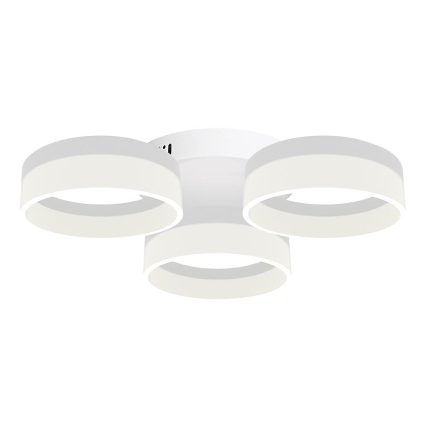 LED-kattovalaisin RING 3xLED/12W/230V valkoinen