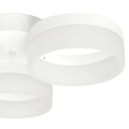 LED-kattovalaisin RING 3xLED/12W/230V valkoinen