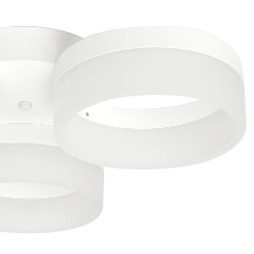 LED-kattovalaisin RING 3xLED/12W/230V valkoinen