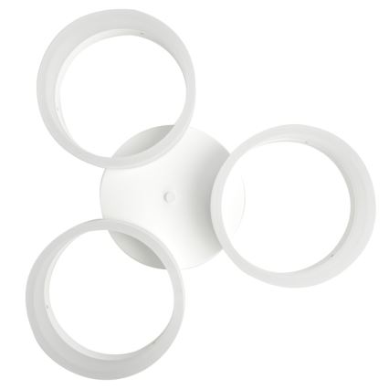 LED-kattovalaisin RING 3xLED/12W/230V valkoinen