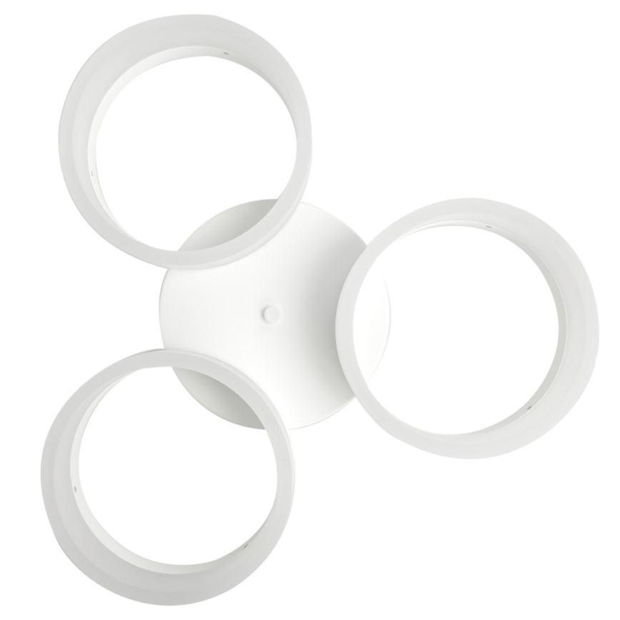 LED-kattovalaisin RING 3xLED/12W/230V valkoinen