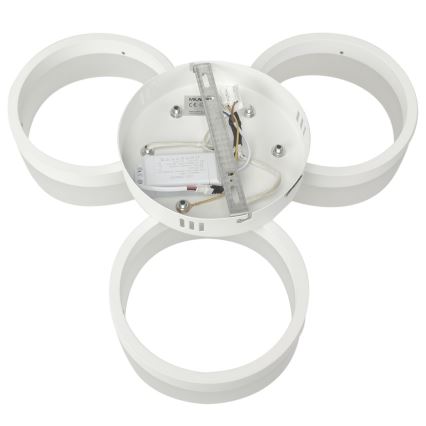 LED-kattovalaisin RING 3xLED/12W/230V valkoinen