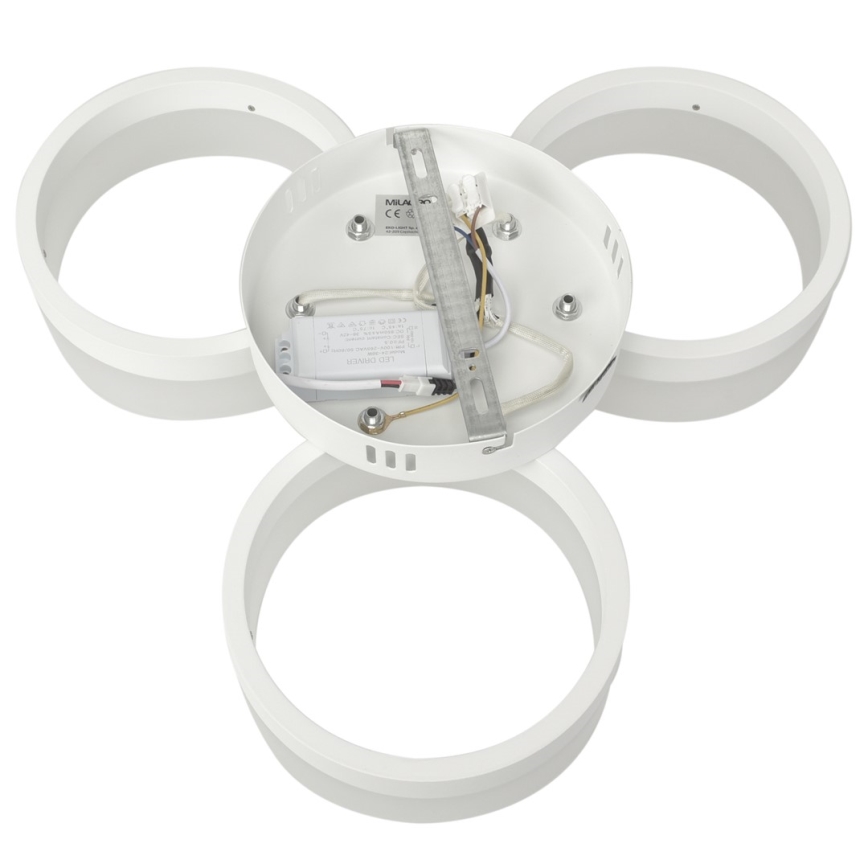 LED-kattovalaisin RING 3xLED/12W/230V valkoinen