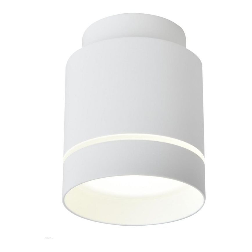LED-kattovalaisin TUBA LED/12W/230V